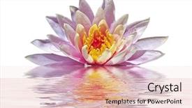  Presentation with lotus water - Audience pleasing PPT layouts consisting of beautiful pink lotus flower floating backdrop and a lemonade colored foreground