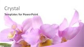  Presentation with banana - 