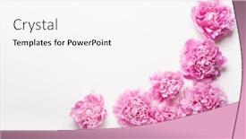  Presentation with peony flower - Amazing slide deck having beautiful-pink-peony-flower-background backdrop and a white colored foreground