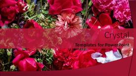  Presentation with peony flower - Slide deck consisting of beautiful-pink-peony-flower-background background and a crimson colored foreground