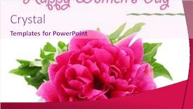  Presentation with peony - PPT layouts having beautiful-pink-peony-isolated background and a pink colored foreground
