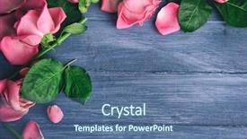  Presentation with pink blue - Cool new presentation theme with beautiful pink petals of roses backdrop and a ocean colored foreground