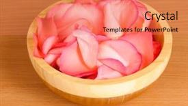  Presentation with pink rose petals - PPT layouts with beautiful pink rose petals in wooden bowl on table background and a coral colored foreground