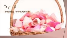  Presentation with pink rose petals - PPT theme having beautiful pink rose petals in basket isolated on white background and a lemonade colored foreground