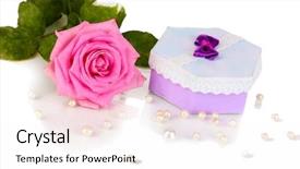  Presentation with purple rose - Amazing PPT theme having beautiful pink rose with wonderful gift in purple box isolated on white backdrop and a white colored foreground