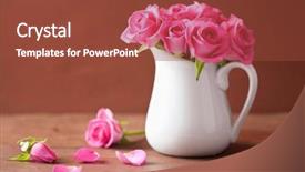  Presentation with pink roses - PPT layouts consisting of beautiful pink roses bouquet background and a tawny brown colored foreground