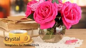  Presentation with singled green pink rose - Amazing PPT layouts having beautiful pink roses in vase backdrop and a  colored foreground