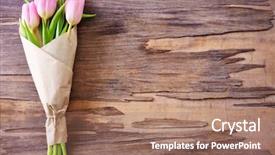  Presentation with tulips - Slides with beautiful pink tulips in paper background and a coral colored foreground
