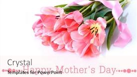  Presentation with tulips - 