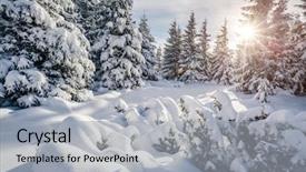  Presentation with 20 year work anniversary - PPT theme featuring beautiful places - majestic white spruces glowing background and a  colored foreground