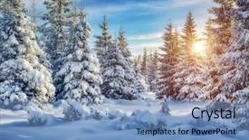  Presentation with happy new year 2022 - Colorful PPT layouts enhanced with beautiful places - majestic white spruces glowing backdrop and a teal colored foreground