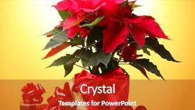  Presentation with gifts - Audience pleasing PPT layouts consisting of beautiful poinsettia in flowerpot gifts backdrop and a crimson colored foreground
