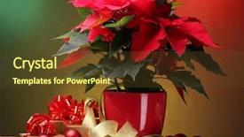  Presentation with gifts - PPT theme having beautiful poinsettia in flowerpot gifts background and a tawny brown colored foreground