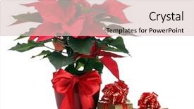  Presentation with gifts - PPT theme consisting of beautiful poinsettia in flowerpot background and a lemonade colored foreground
