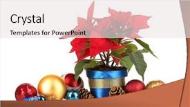  Presentation with white christmas - Amazing slides having beautiful-poinsettia-with-christmas-balls backdrop and a white colored foreground