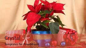  Presentation with christmas balls disco ball - Presentation theme with beautiful poinsettia with christmas balls background and a red colored foreground