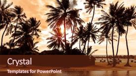  Presentation with tree silhouette - Presentation design enhanced with beautiful postcard with palm tree background and a tawny brown colored foreground