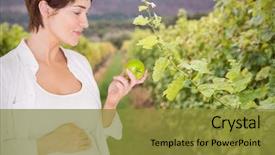  Presentation with crops - Cool new theme with beautiful pregnant woman eating green apple against vine crops in a vineyard backdrop and a gold colored foreground