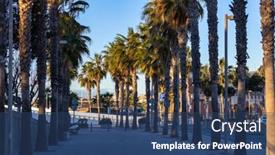  Presentation with marina - Theme having beautiful-promenade-with-palm-trees background and a  colored foreground