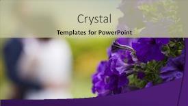  Presentation with bride - Colorful PPT layouts enhanced with beautiful purple petunia flowers bride and groom dancing in the background on their wedding day backdrop and a soft green colored foreground