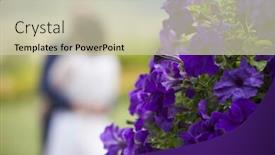  Presentation with purple wedding - Slides having beautiful purple petunia flowers bride and groom dancing in the background on their wedding day background and a soft green colored foreground