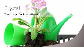  Presentation with soil - Audience pleasing presentation theme consisting of beautiful purple primrose soil watering can and rake isolated on white backdrop and a white colored foreground