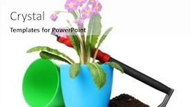  Presentation with soil - PPT layouts consisting of beautiful-purple-primrose-soil background and a white colored foreground