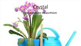  Presentation with garden tools - Colorful slide set enhanced with beautiful purple primrose in a flowerpot garden tools and watering can isolated on white backdrop and a white colored foreground