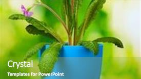  Presentation with purple green - Beautiful slide deck featuring wooden table on green background backdrop and a tawny brown colored foreground