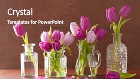  Presentation with purple flowers and oils - Amazing presentation design having beautiful purple tulip flowers bouquet backdrop and a tawny brown colored foreground