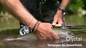  Presentation with trout - Audience pleasing presentation design consisting of beautiful-rainbow-trout-caught backdrop and a tawny brown colored foreground