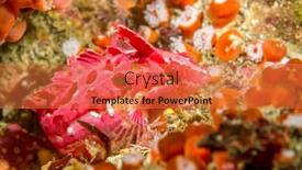  Presentation with california - Slides with beautiful-red-and-pink-crevice background and a  colored foreground