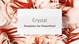  Presentation with yellow paper - PPT layouts enhanced with beautiful-red-and-yellow-bird background and a lemonade colored foreground