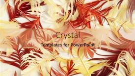  Presentation with coral - Audience pleasing slide deck consisting of beautiful-red-and-yellow-bird backdrop and a coral colored foreground