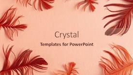  Presentation with coral - Slide deck with beautiful-red-bird-feathers background and a lemonade colored foreground
