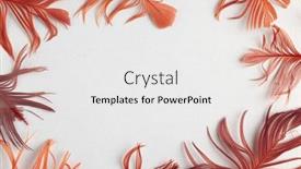  Presentation with pastel - PPT layouts having beautiful-red-bird-feathers background and a white colored foreground