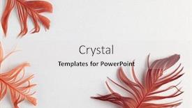  Presentation with pastel - Slide set featuring beautiful-red-bird-feathers background and a light gray colored foreground