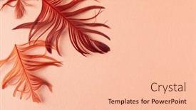  Presentation with coral - Slide deck featuring beautiful-red-bird-feathers background and a lemonade colored foreground