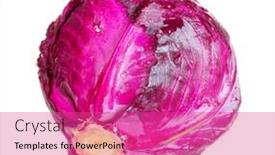  Presentation with cabbage - 