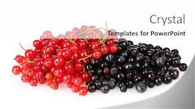  Presentation with currant - 