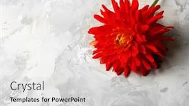  Presentation with red grey - 