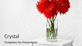 Presentation with red floral - Amazing PPT theme having beautiful red dahlia flowers backdrop and a white colored foreground