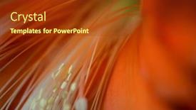  Presentation with flower - Presentation theme enhanced with beautiful-red-flower-epiphyllum-up background and a tawny brown colored foreground