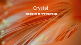  Presentation with flower - PPT theme with beautiful-red-flower-epiphyllum-up background and a crimson colored foreground