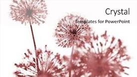  Presentation with steam generator abstract art red - Cool new presentation theme with beautiful red flowers abstract composition backdrop and a white colored foreground