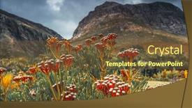  Presentation with botanical - Beautiful PPT theme featuring beautiful-red-flowers-of-coniferous backdrop and a tawny brown colored foreground