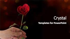  Presentation with red rose bush - Cool new theme with beautiful red rose symbol backdrop and a black colored foreground