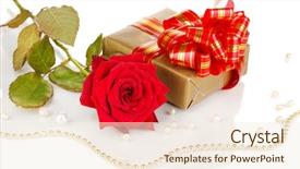  Presentation with red gold white - PPT layouts consisting of beautiful red rose with wonderful gift in gold box isolated on white background and a cream colored foreground