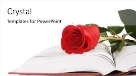  Presentation with book - Amazing presentation theme having beautiful red rose backdrop and a white colored foreground