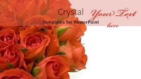  Presentation with roses - Colorful presentation theme enhanced with beautiful-red-roses-bouquet backdrop and a red colored foreground